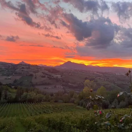 Terrace Retreat In The Marche شقة